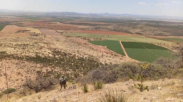 WhatsApp Image 2026 04 28 at 16.34.45 (1)