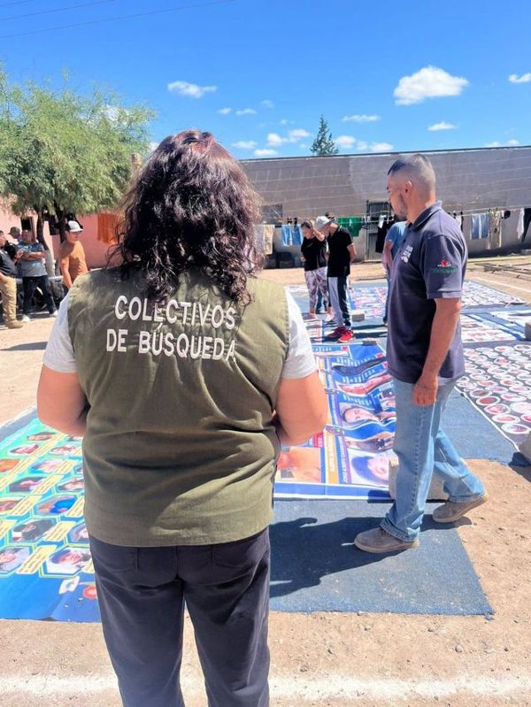 colectivos de
