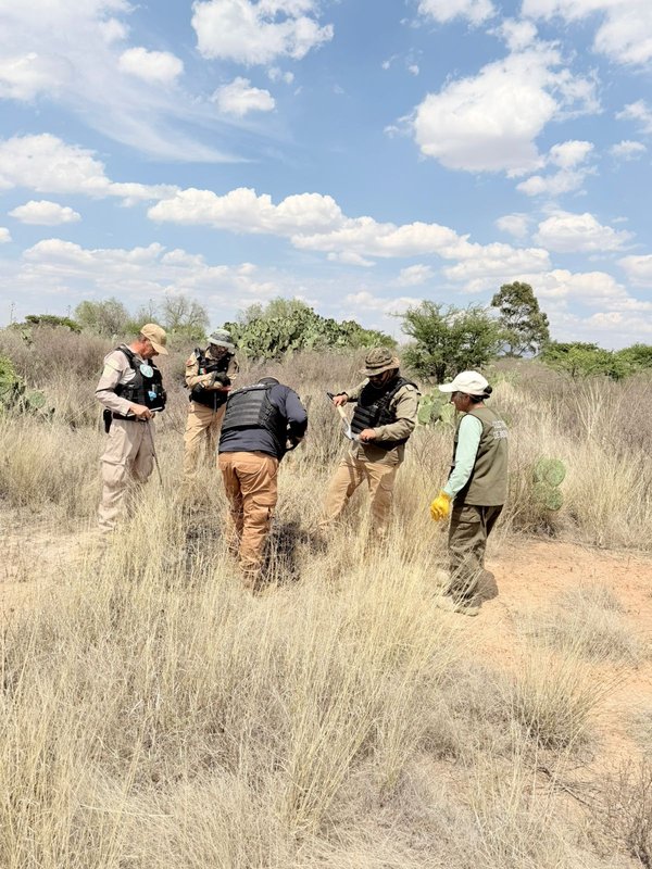 WhatsApp Image 2026 04 22 at 16.59.43