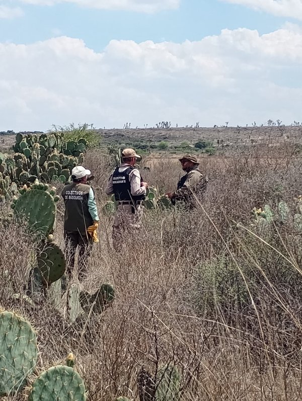 WhatsApp Image 2026 04 22 at 16.59.44 (1)