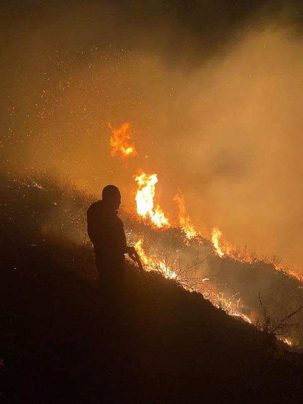 incendio ecoparque