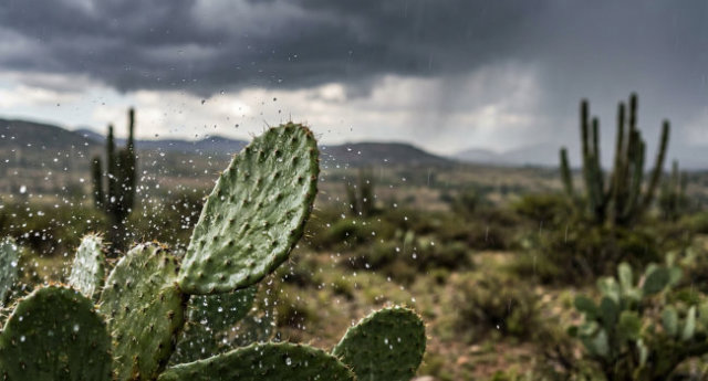 Lluvias intensas en Zacatecas