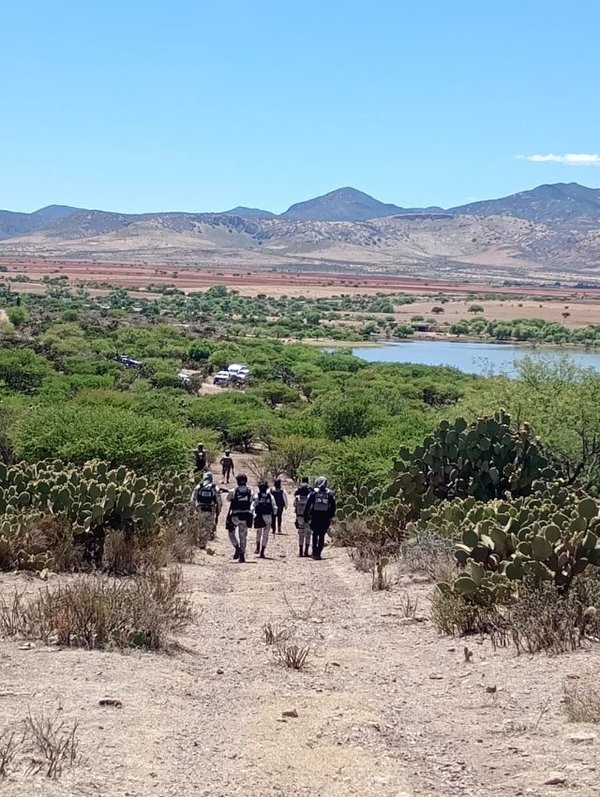 Buscadores se adentraron en varios predios