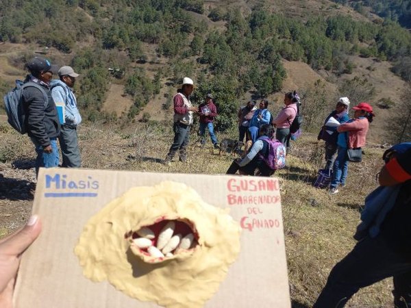 En marcha la campaña nacional