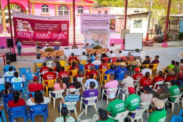 Asambleas comunitarias de información