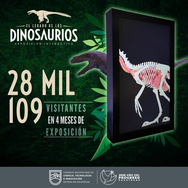 WhatsApp Image 2026 03 22 at 10.12.24