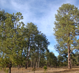 Monte Escobedo Zacatecas