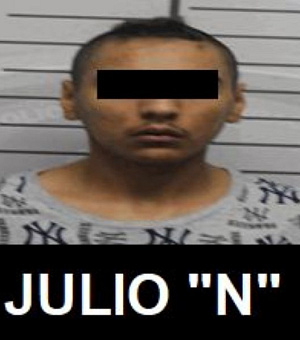 Julio N