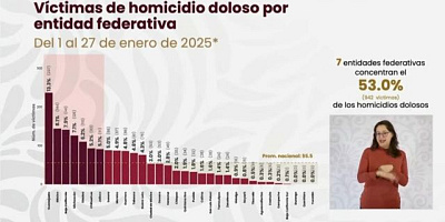 grafica preliminar de enero