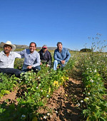 productores agricolas