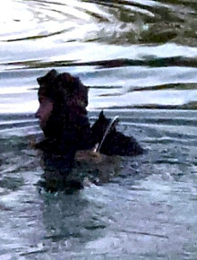 672023806 1388914233261991 8089597168518918804 n