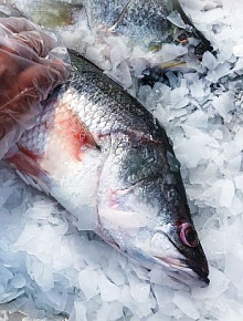 WhatsApp Image 2026 03 30 at 1.05.26 PM 1