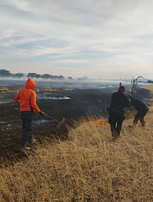 WhatsApp Image 2026 04 15 at 16.33.32