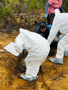 excavan