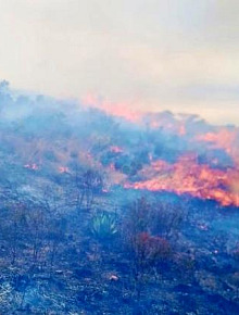 WhatsApp Image 2026 02 04 at 12.23.32 PM