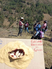 En marcha la campaña nacional