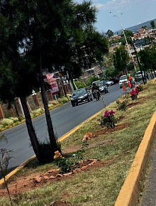 calzada