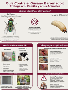 guia gusano