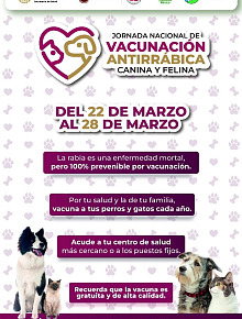 WhatsApp Image 2026 03 19 at 2.30.36 PM