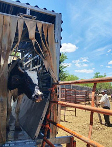 670703733 1384211090398972 5236410143742219196 n