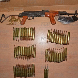 fusil y cartuchos copy