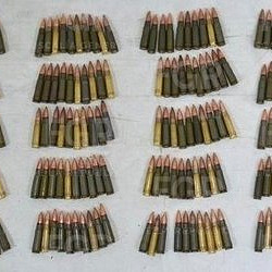 WhatsApp Image 2026 03 13 at 15.47.51 (2)