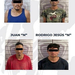 los cuatro