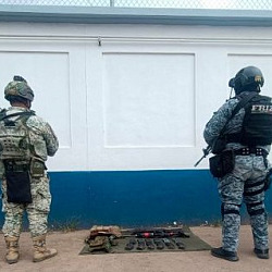 fuerzas de seguridad