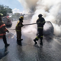 los bomberos