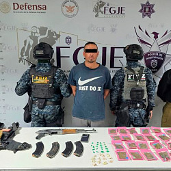 fuerzas de seg