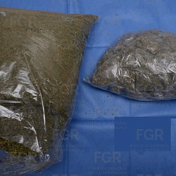 WhatsApp Image 2026 04 22 at 10.29.41