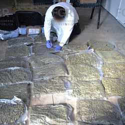 mariguana en bolsas