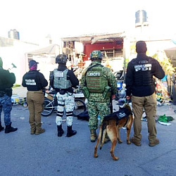 631882339 1208648298099916 4721188340101619617 n