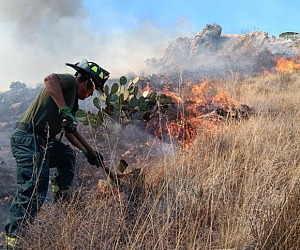 ecoparque incendio