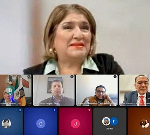 maestra Julia Castillo