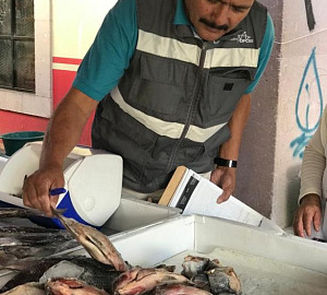 WhatsApp Image 2026 02 23 at 2.28.28 PM