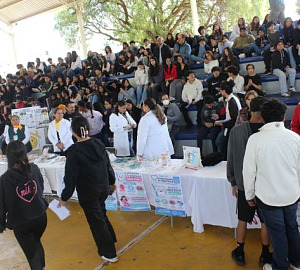 expo sal 2
