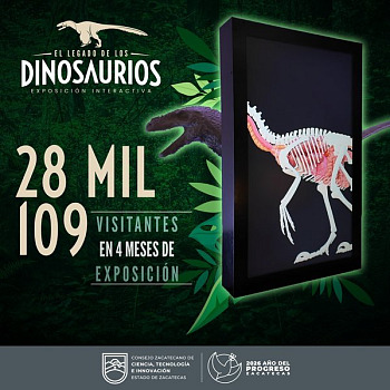 WhatsApp Image 2026 03 22 at 10.12.24