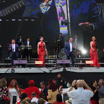 toda orquesta