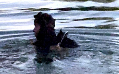 672023806 1388914233261991 8089597168518918804 n