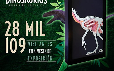 WhatsApp Image 2026 03 22 at 10.12.24