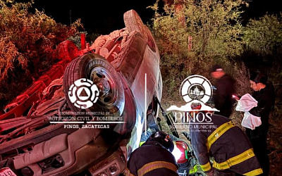 imagen PC Pinos
