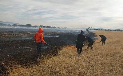 WhatsApp Image 2026 04 15 at 16.33.32