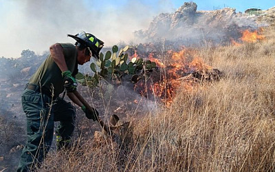 ecoparque incendio