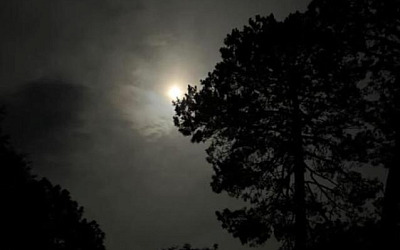 WhatsApp Image 2025 09 06 at 9.03.15 PM copy