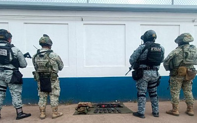 fuerzas de seguridad