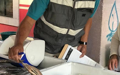 WhatsApp Image 2026 02 23 at 2.28.28 PM