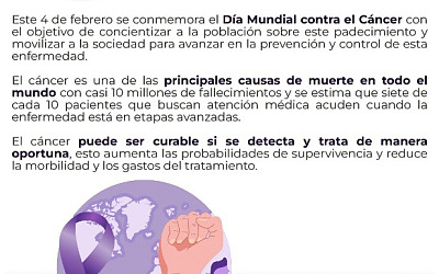 WhatsApp Image 2026 02 04 at 1.01.37 PM