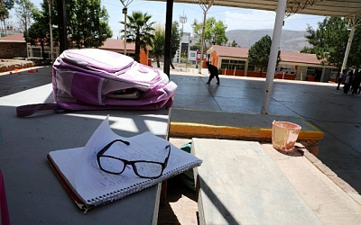 WhatsApp Image 2026 03 26 at 12.29.54 PM