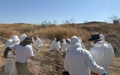 excavan buscadores